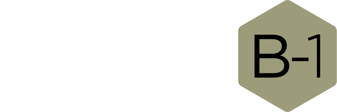 Logo BSC B1
